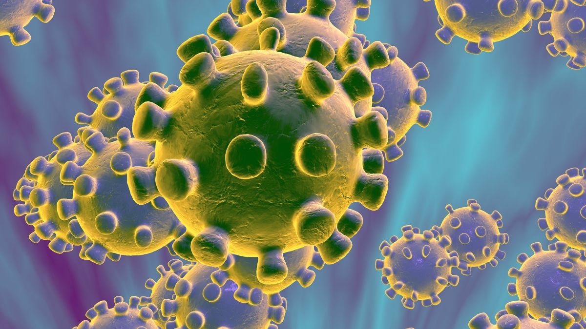 Korona Virüse Karşı Alınması Gereken Tedbirler